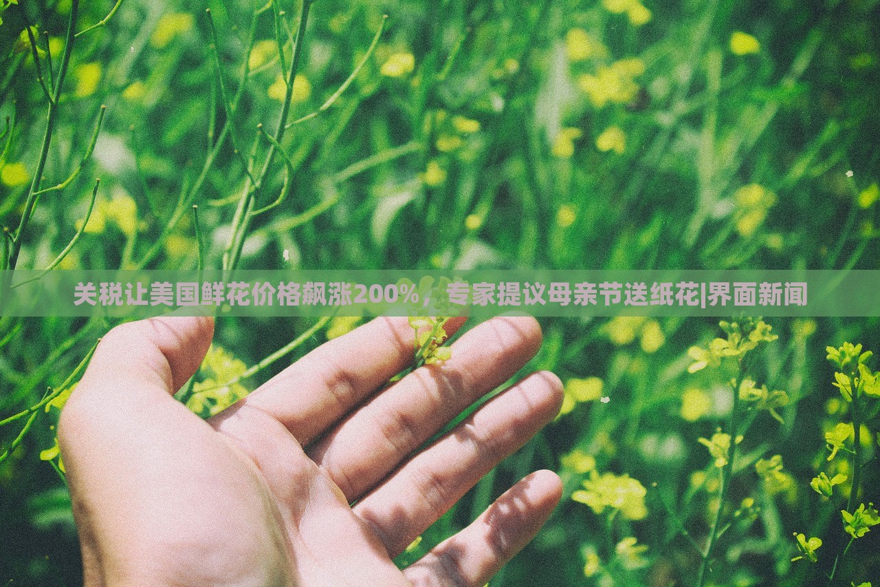 關(guān)稅讓美國(guó)鮮花價(jià)格飆漲200%，專家提議母親節(jié)送紙花|界面新聞