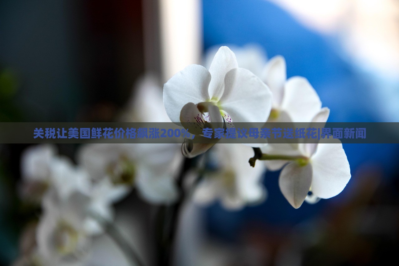 關(guān)稅讓美國(guó)鮮花價(jià)格飆漲200%，專家提議母親節(jié)送紙花|界面新聞