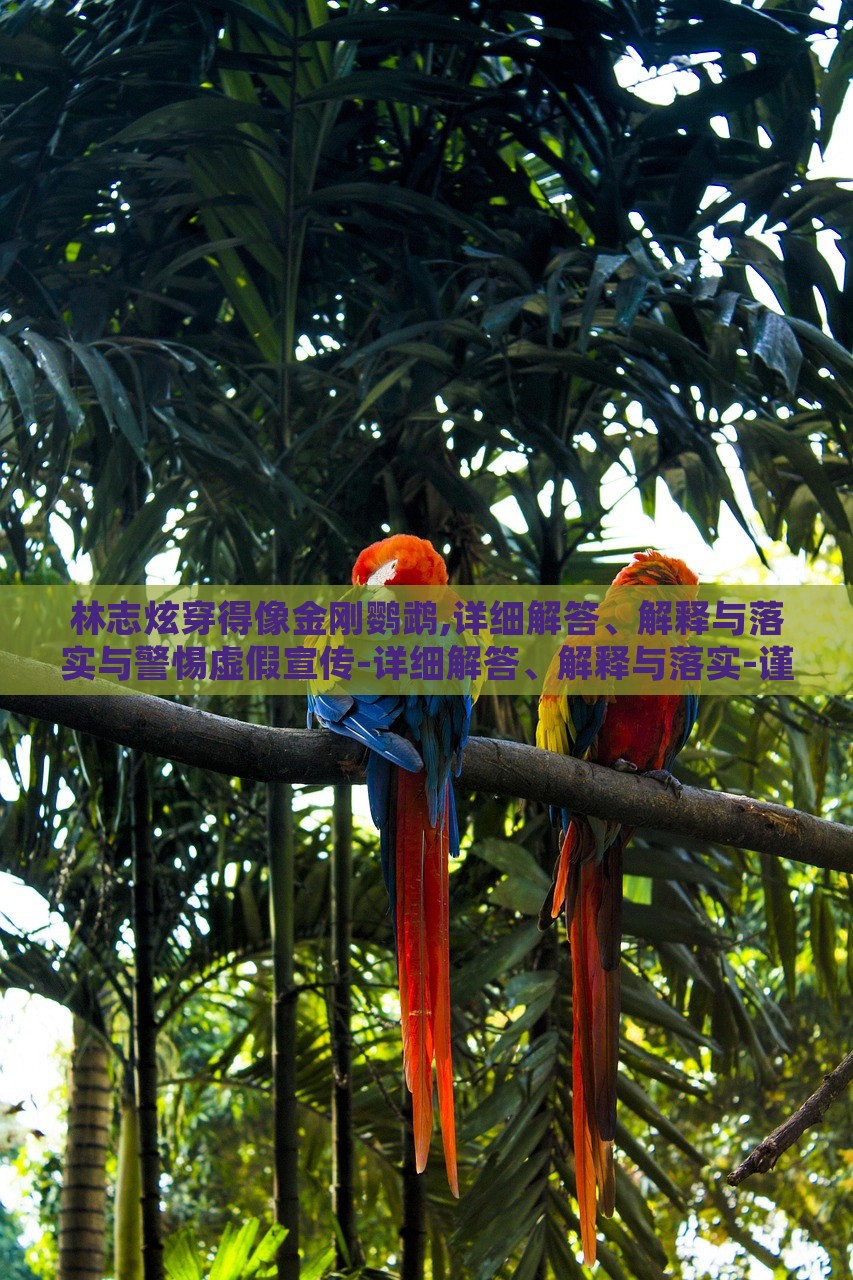 林志炫穿得像金剛鸚鵡,詳細解答、解釋與落實與警惕虛假宣傳-詳細解答、解釋與落實-謹防虛假標榜手段