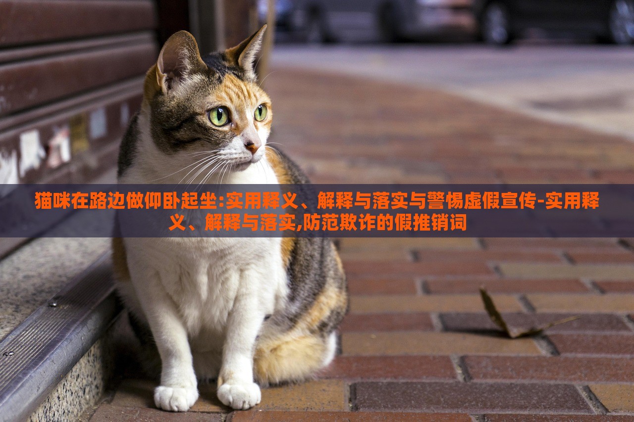 貓咪在路邊做仰臥起坐:實(shí)用釋義、解釋與落實(shí)與警惕虛假宣傳-實(shí)用釋義、解釋與落實(shí),防范欺詐的假推銷(xiāo)詞