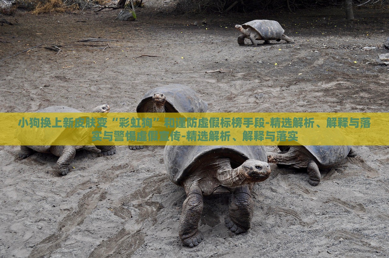 小狗換上新皮膚變“彩虹狗”和謹(jǐn)防虛假標(biāo)榜手段-精選解析、解釋與落實(shí)與警惕虛假宣傳-精選解析、解釋與落實(shí)