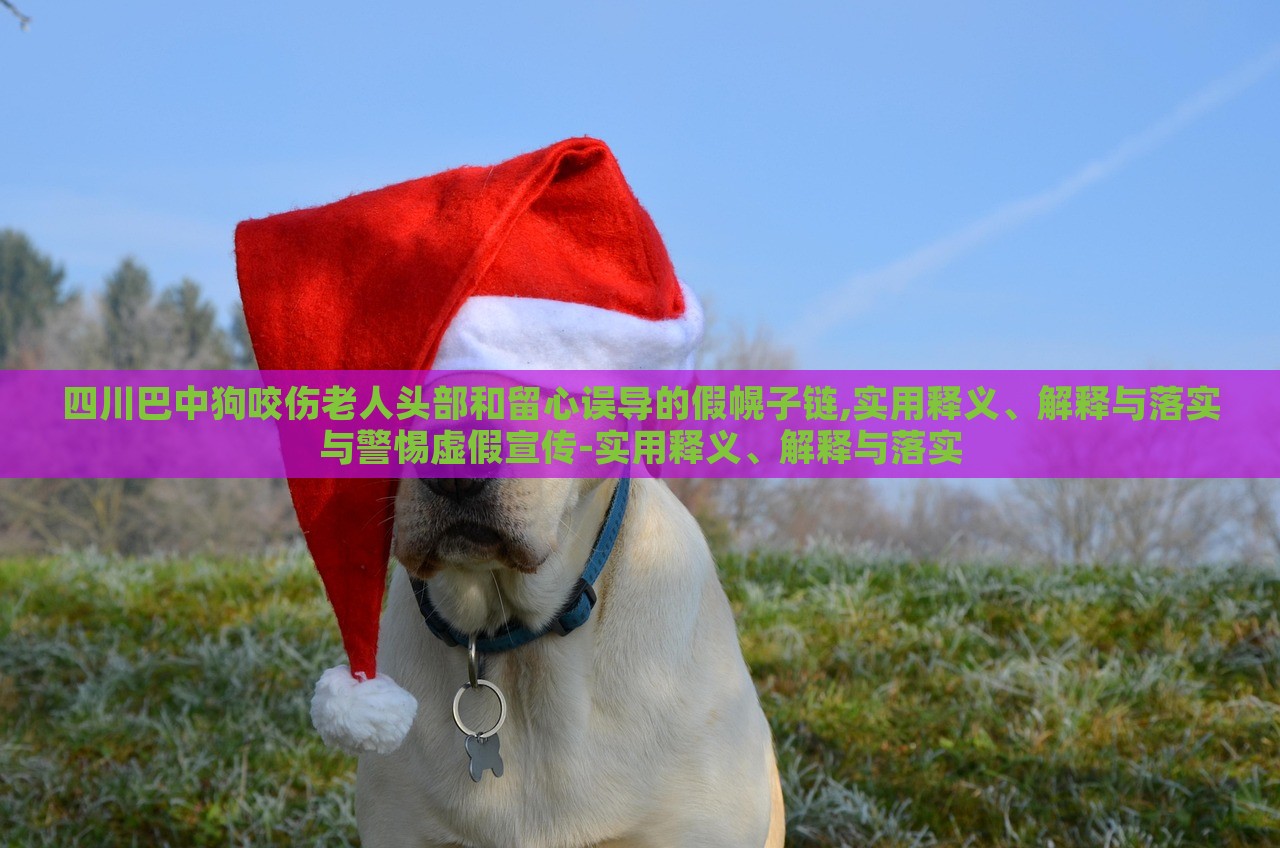 四川巴中狗咬傷老人頭部和留心誤導(dǎo)的假幌子鏈,實用釋義、解釋與落實與警惕虛假宣傳-實用釋義、解釋與落實