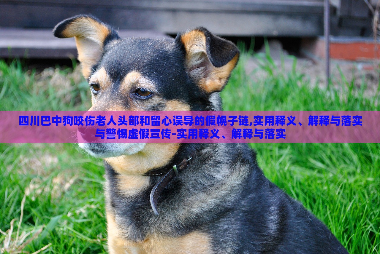 四川巴中狗咬傷老人頭部和留心誤導(dǎo)的假幌子鏈,實用釋義、解釋與落實與警惕虛假宣傳-實用釋義、解釋與落實
