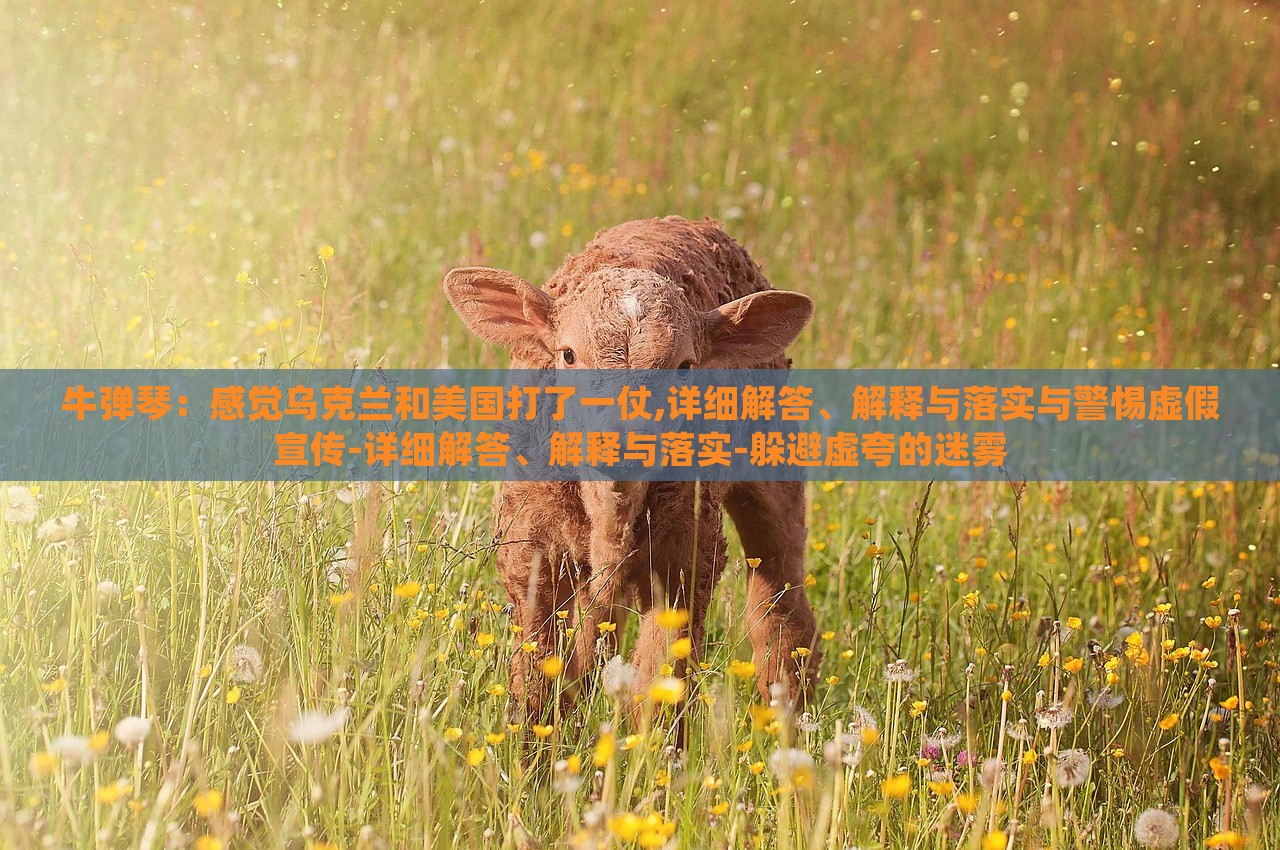 牛彈琴：感覺烏克蘭和美國打了一仗,詳細(xì)解答、解釋與落實(shí)與警惕虛假宣傳-詳細(xì)解答、解釋與落實(shí)-躲避虛夸的迷霧