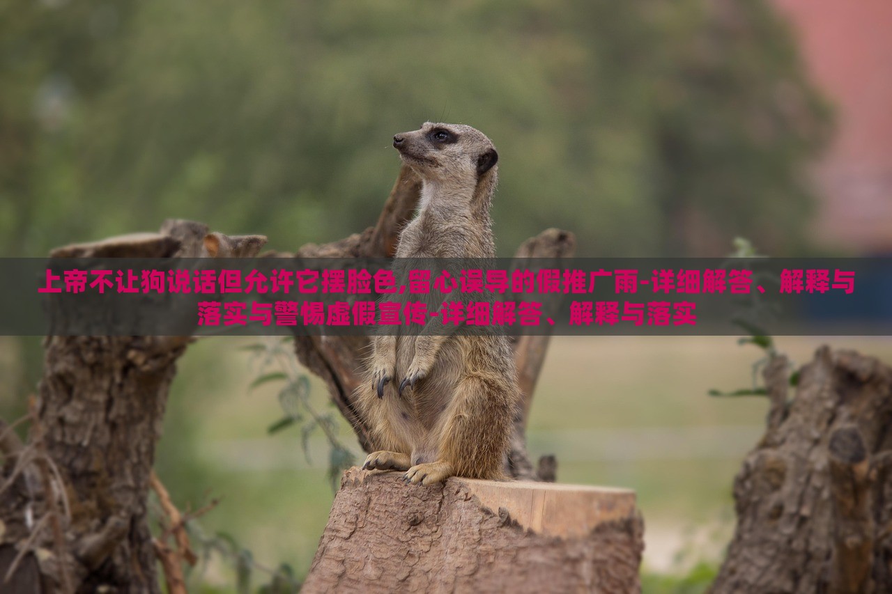 上帝不讓狗說話但允許它擺臉色,留心誤導(dǎo)的假推廣雨-詳細(xì)解答、解釋與落實(shí)與警惕虛假宣傳-詳細(xì)解答、解釋與落實(shí)