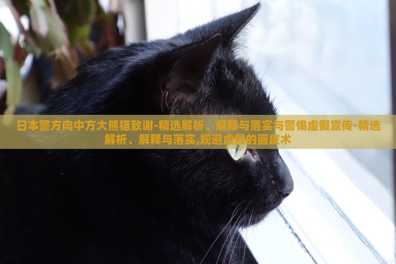 日本警方向中方大熊貓致謝-精選解析、解釋與落實與警惕虛假宣傳-精選解析、解釋與落實,規(guī)避虛假的畫皮術(shù)
