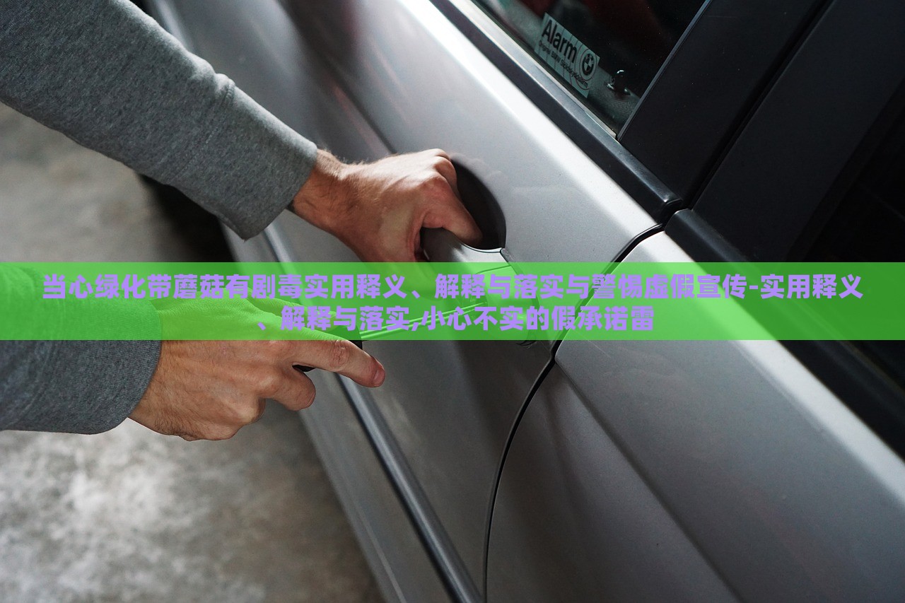當心綠化帶蘑菇有劇毒實用釋義、解釋與落實與警惕虛假宣傳-實用釋義、解釋與落實,小心不實的假承諾雷