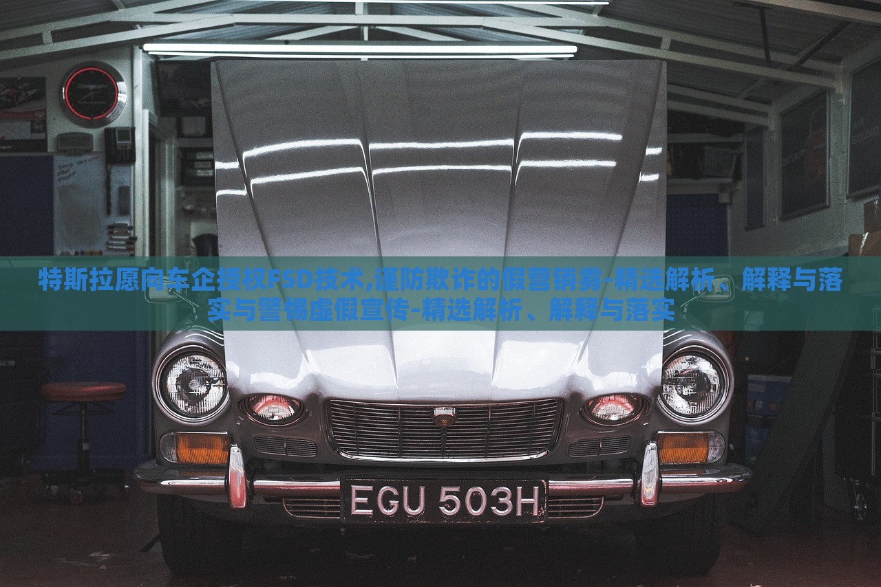 特斯拉愿向車企授權(quán)FSD技術(shù),謹(jǐn)防欺詐的假營銷霧-精選解析、解釋與落實(shí)與警惕虛假宣傳-精選解析、解釋與落實(shí)