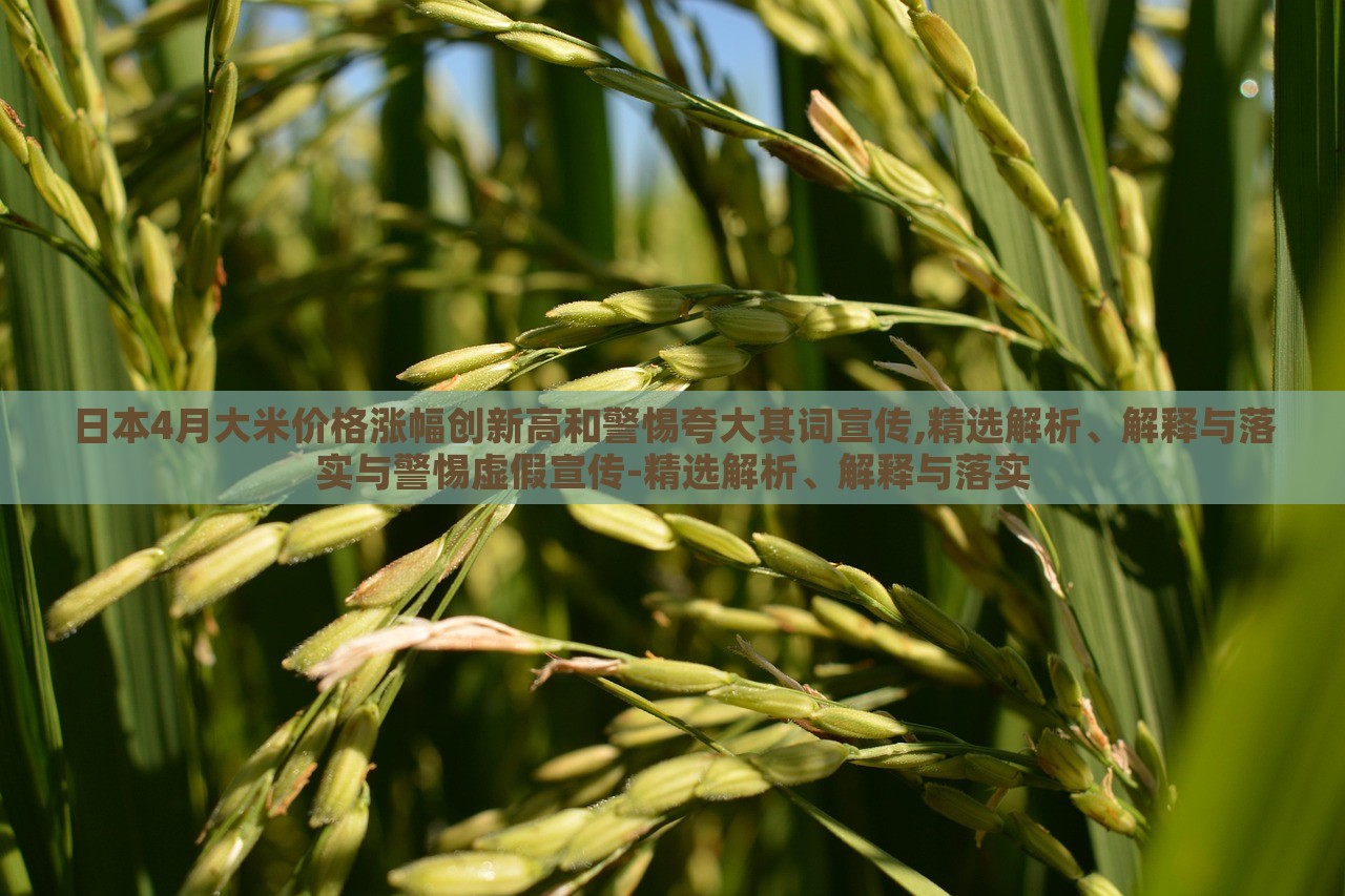 日本4月大米價格漲幅創(chuàng)新高和警惕夸大其詞宣傳,精選解析、解釋與落實與警惕虛假宣傳-精選解析、解釋與落實