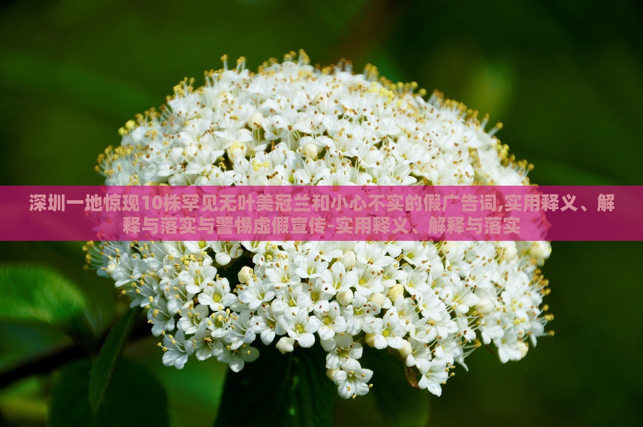 深圳一地驚現(xiàn)10株罕見無葉美冠蘭和小心不實(shí)的假廣告詞,實(shí)用釋義、解釋與落實(shí)與警惕虛假宣傳-實(shí)用釋義、解釋與落實(shí)