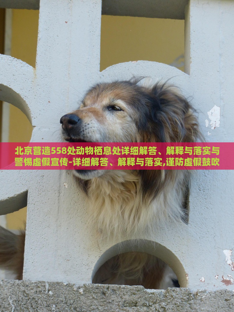 北京營造558處動(dòng)物棲息處詳細(xì)解答、解釋與落實(shí)與警惕虛假宣傳-詳細(xì)解答、解釋與落實(shí),謹(jǐn)防虛假鼓吹危害 北京營造558處動(dòng)物棲息處詳細(xì)解答、解釋與落實(shí)與警惕虛假宣傳-詳細(xì)解答、解釋與落實(shí),謹(jǐn)防虛假鼓吹危害